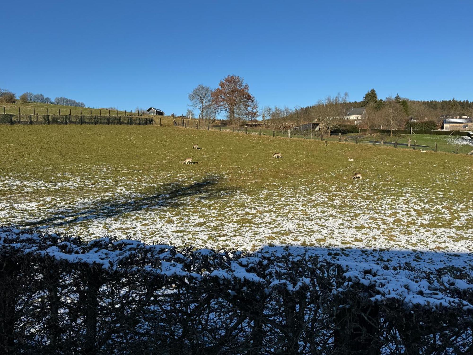 Achouffe - Lachenal Exteriör bild